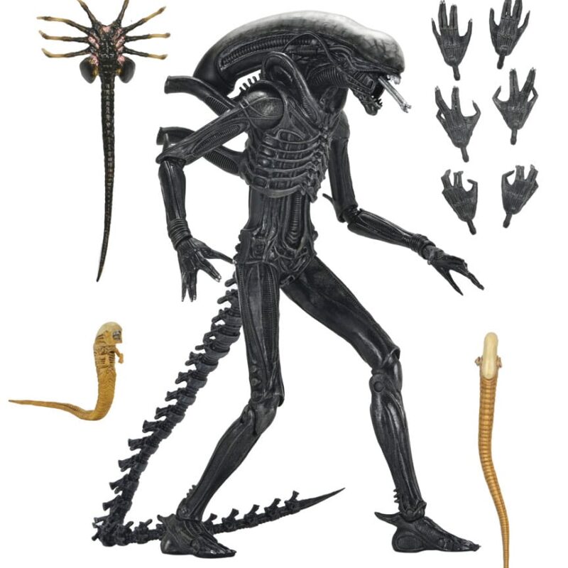 Alien: Romulus Action Figure Ultimate Xenomorph XX121 18 cm